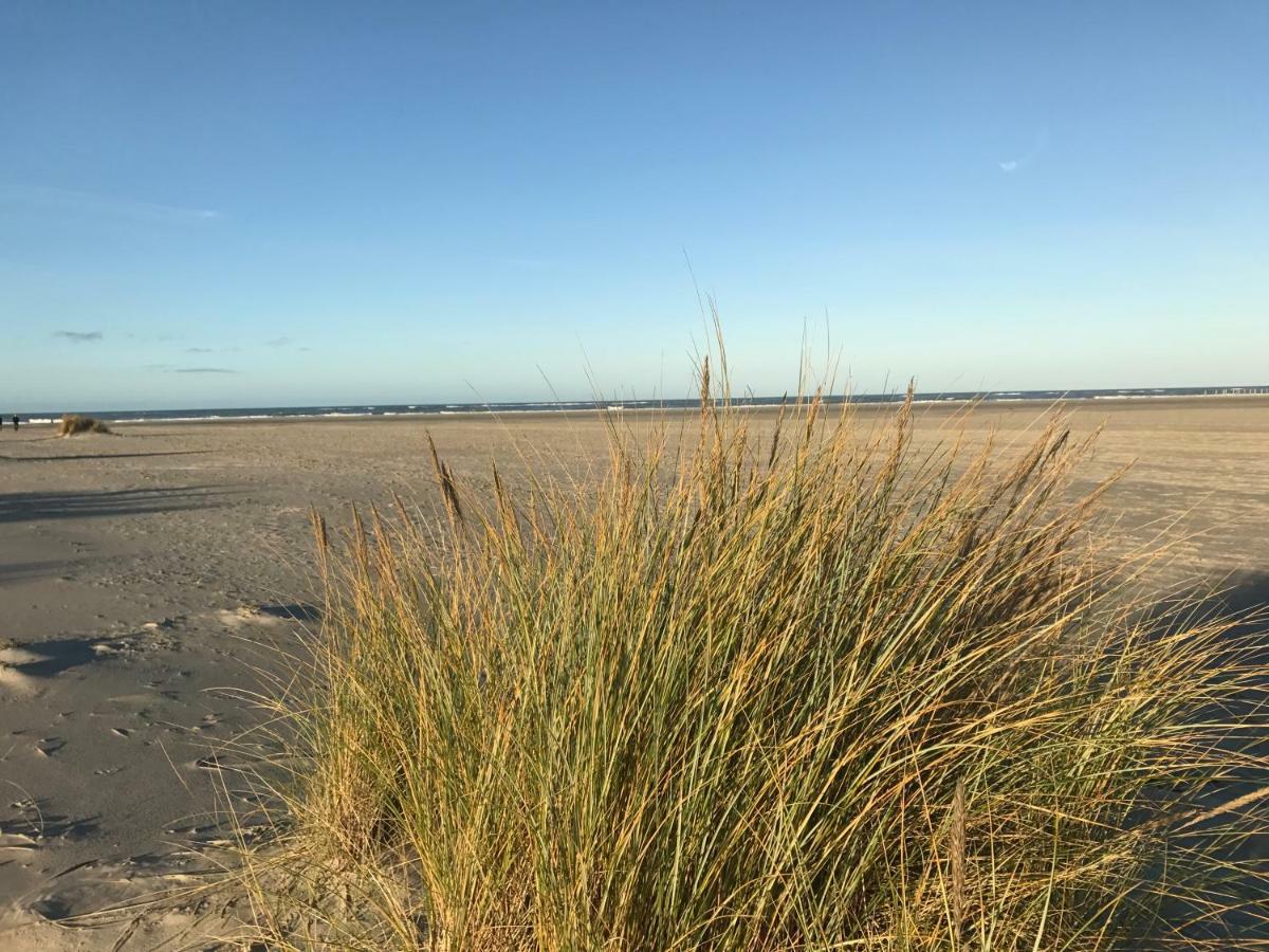 Strandlogement Om De Noord Schiermonnikoog Eksteriør bilde